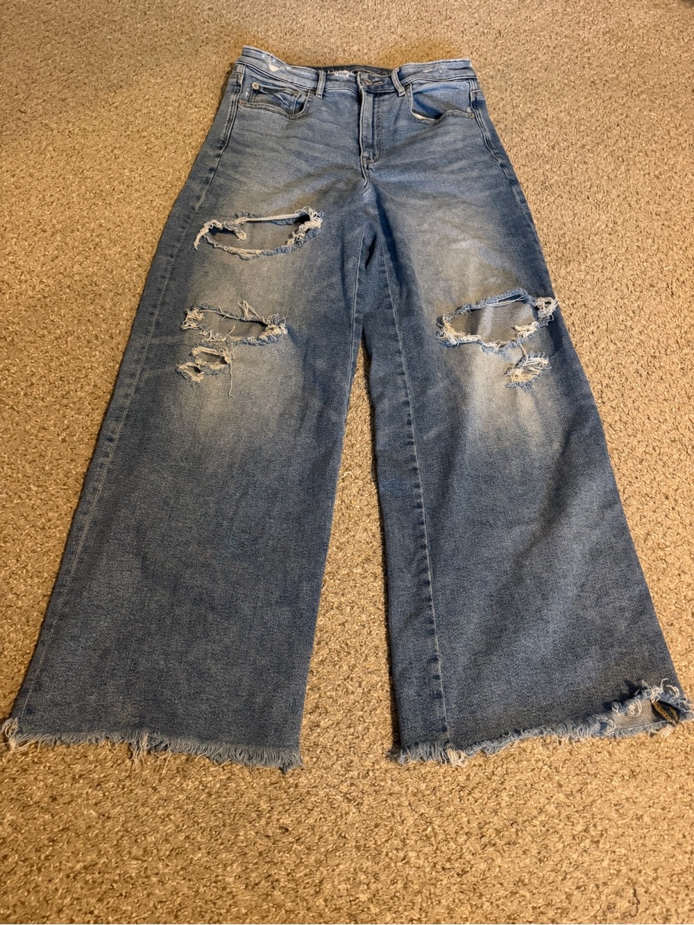 American Eagle Outfitters Light Blue Distressed Wide-Leg Jeans